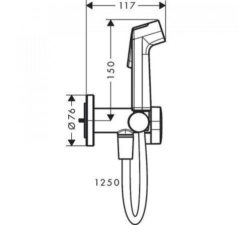 Гигиенический душ со смесителем Hansgrohe Bidette 29232000 Хром