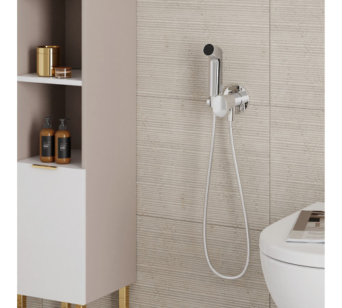 Гигиенический душ со смесителем Hansgrohe Bidette 29232000 Хром