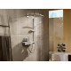 Верхний душ Hansgrohe Raindance E 26238000 Хром