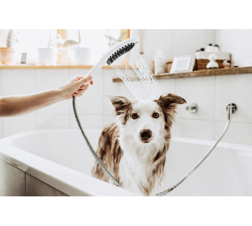 Ручной душ Hansgrohe DogShower 26640670 для собак Черный