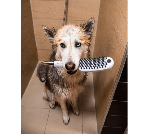 Ручной душ Hansgrohe DogShower 26640670 для собак Черный