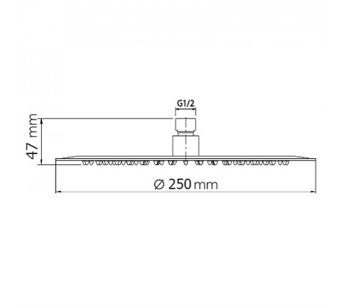 Верхний душ WeltWasser WW HS 25R 10000000940 Хром