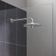 Верхний душ Grohe Euphoria 26458000 Хром