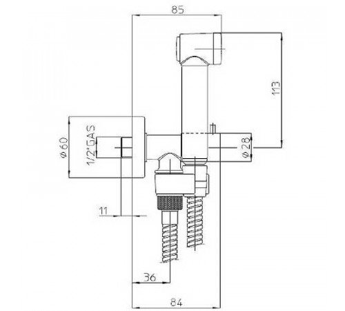 Гигиенический душ Bossini Talita Gom E57005B.030 Хром