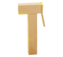 Лейка для гигиенического душа Rav Slezak KS0007Z золотая