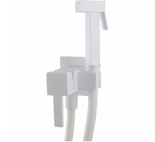 Гигиенический душ Webert Pegaso PE870303740 со смесителем Белый матовый