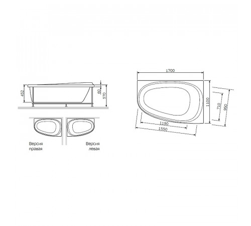 Каркас для ванны AM.PM Like 170x110 R W80A-170R110W-R Серый