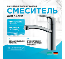 Смеситель для кухни Hansgrohe Focus 31806000 Хром