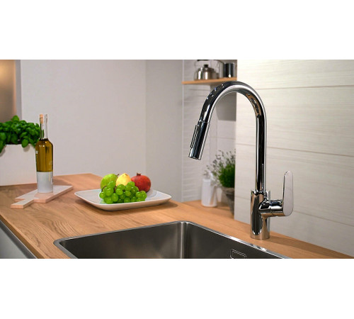 Смеситель для кухни Hansgrohe Focus 31815000 Хром