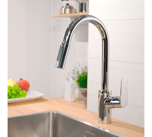 Смеситель для кухни Hansgrohe Focus 31815000 Хром