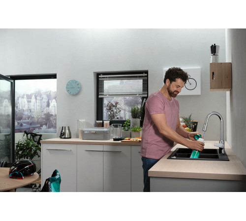 Смеситель для кухни Hansgrohe Focus M42 71800000 Хром