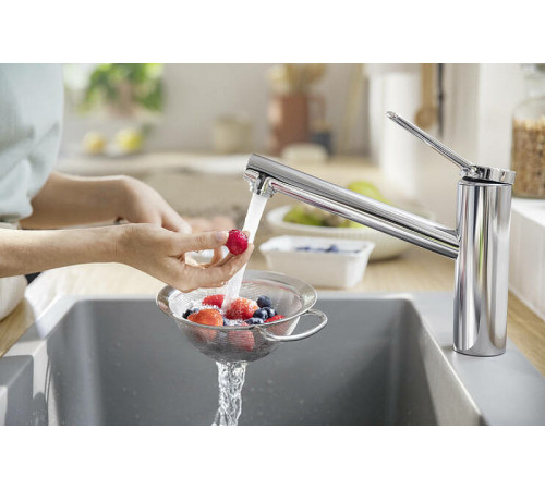 Смеситель для кухни Hansgrohe Zesis M33 74802000 Хром