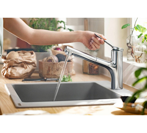 Смеситель для кухни Hansgrohe Zesis M33 2jet sBox lite 74803000 Хром