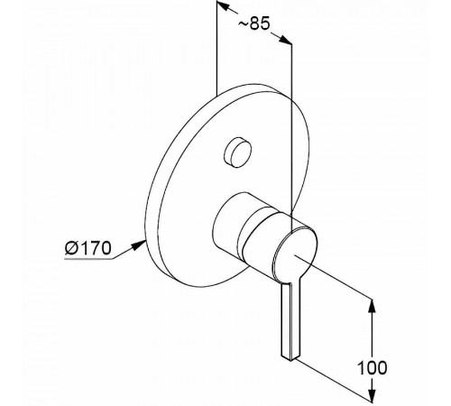 Смеситель для душа Kludi Nova Fonte Puristic 206593915 Черный матовый