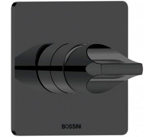 Смеситель для душа Bossini Apice Z00504.073 Черный матовый