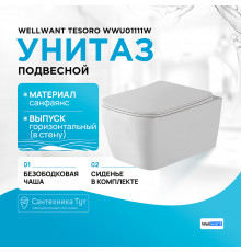 Унитаз WellWant Tesoro WWU01111W подвесной с сиденьем Микролифт