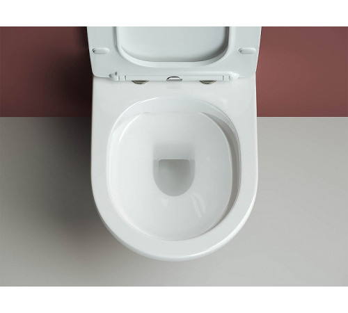 Комплект унитаза Ceramicanova Form CN3009 с инсталляцией Geberit Duofix Sigma UP320 111.300.00.5 с сиденьем Микролифт