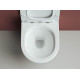 Комплект унитаза Ceramicanova Form CN3009 с инсталляцией Geberit Duofix Sigma UP320 111.300.00.5 с сиденьем Микролифт