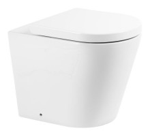 Унитаз BelBagno Flay-R BB1003CBR приставной без сиденья