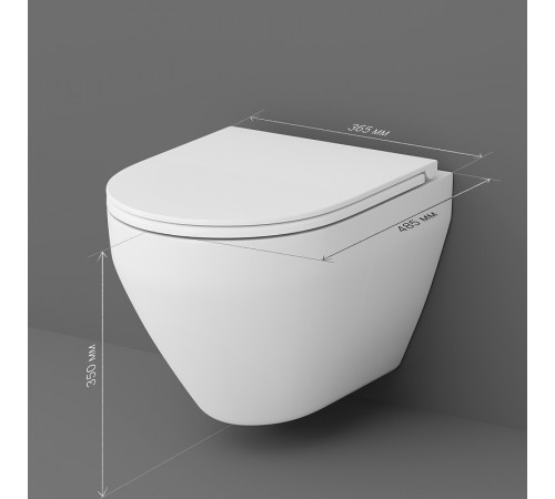 Унитаз AM.PM Spirit V2.0 C701700SC подвесной с сиденьем Микролифт