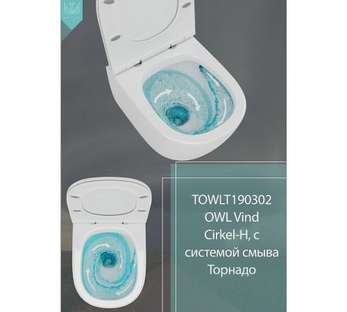 Комплект унитаза Owl 1975 Vind Cirkel-H TOWLT190302 с инсталляцией Grohe Rapid SL 38772001 с сиденьем Микролифт и клавишей смыва Хром