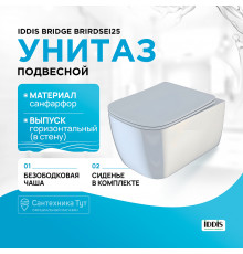 Унитаз Iddis Bridge BRIRDSEi25 подвесной с сиденьем Микролифт