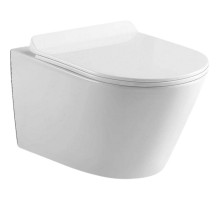 Унитаз Black&White Universe W-703 703W00 подвесной с сиденьем Микролифт