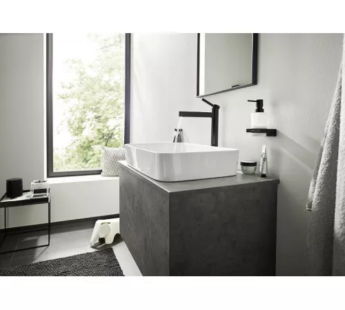 Двойной крючок Hansgrohe AddStoris 41755000 Хром Двойной крючок Hansgrohe AddStoris 41755000 Хром